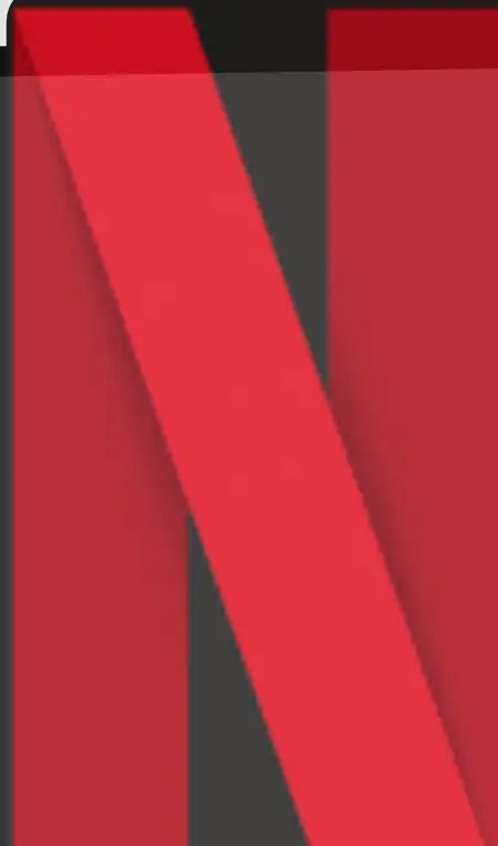 Shared account NETFLIX